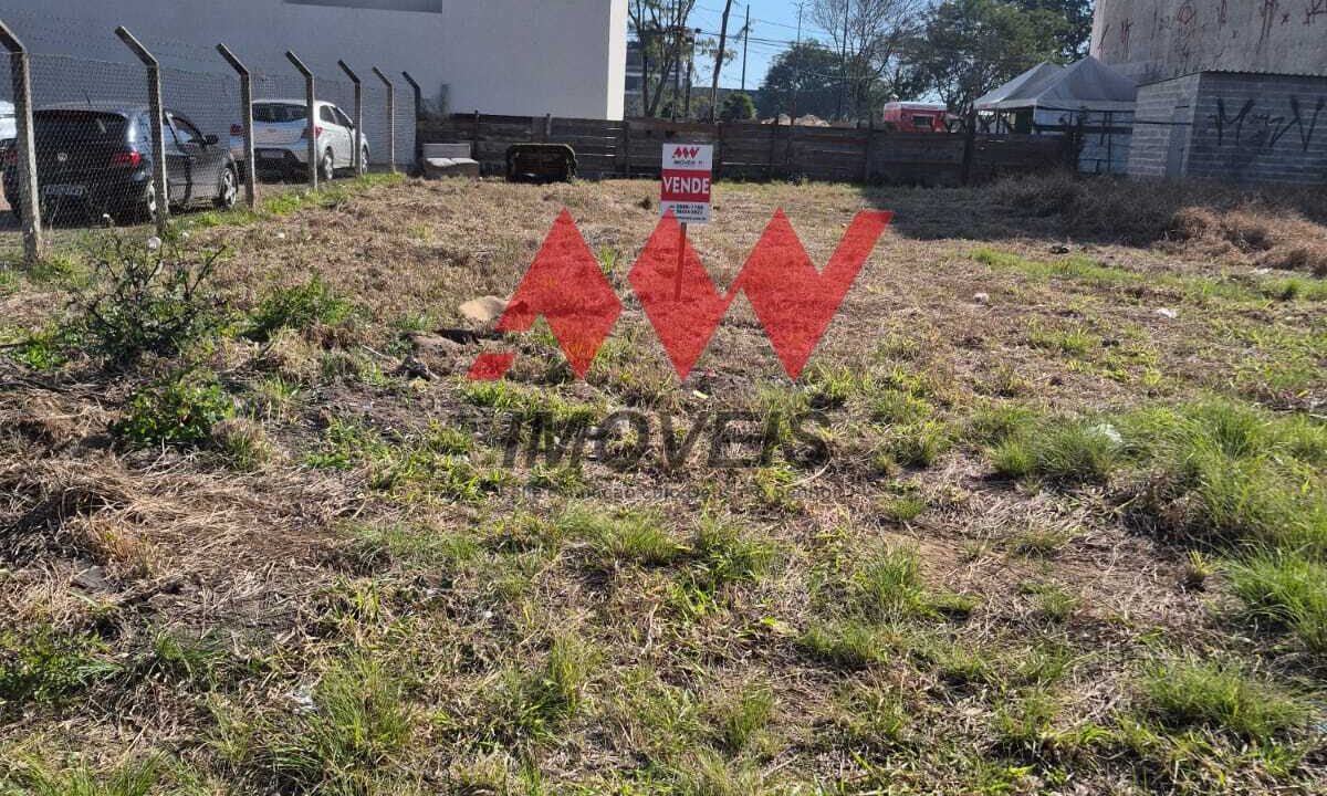 WhatsApp Image 2025-08-15 at 08.24.02