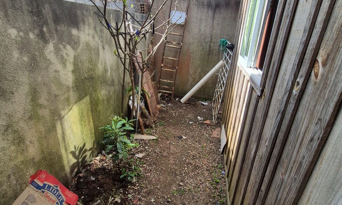 WhatsApp Image 2025-09-11 at 15.56.32