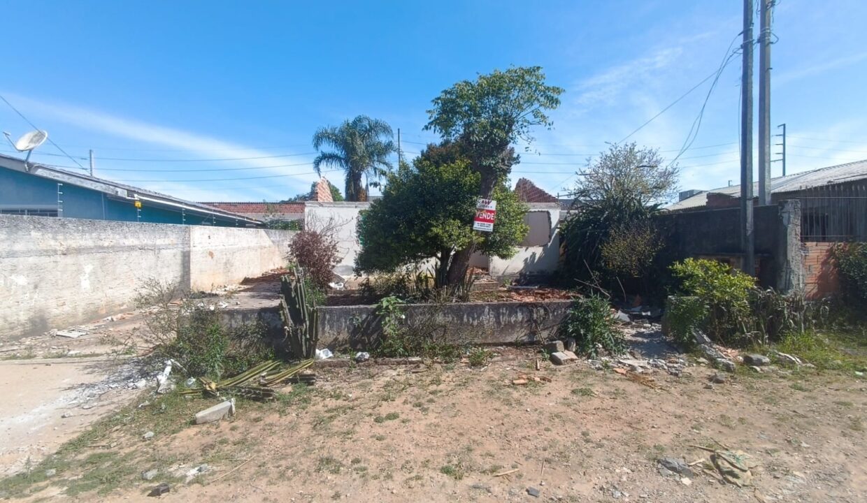 WhatsApp Image 2025-09-16 at 09.21.03