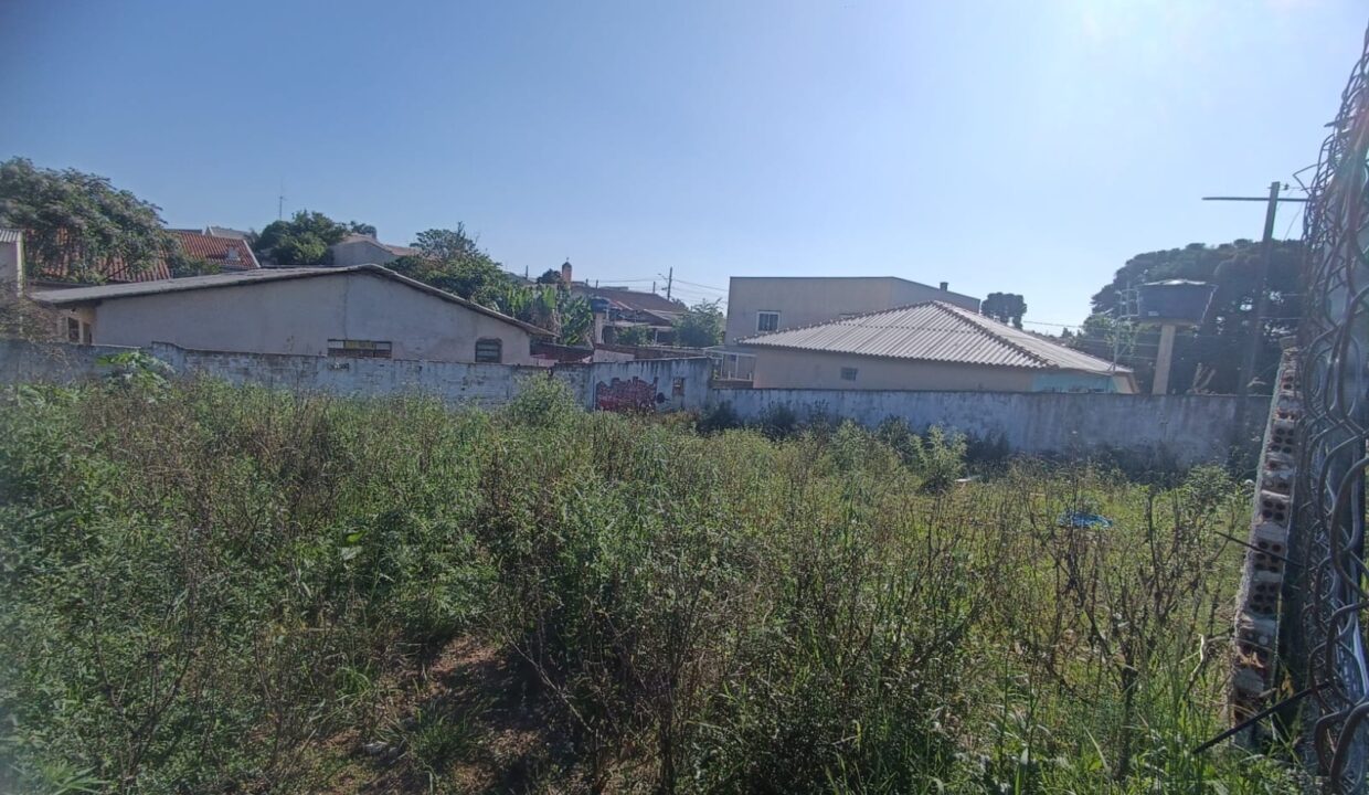 WhatsApp Image 2025-11-07 at 09.36.42