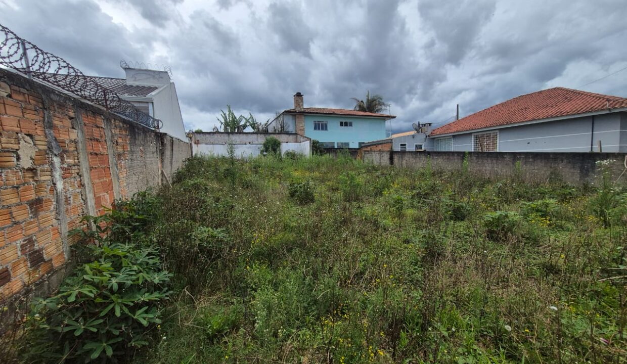 WhatsApp Image 2025-11-18 at 17.37.41 (1)