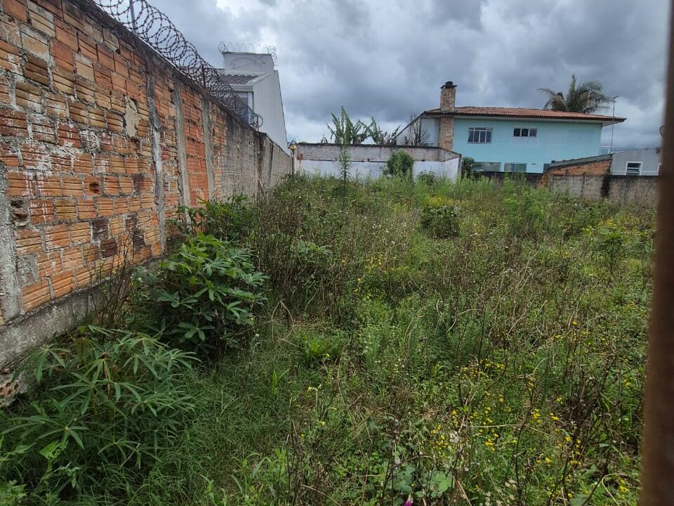 WhatsApp Image 2025-11-18 at 17.37.41 (2)