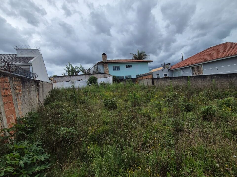 WhatsApp Image 2025-11-18 at 17.37.42