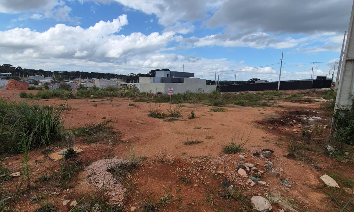 WhatsApp Image 2025-11-26 at 16.08.35 (1)