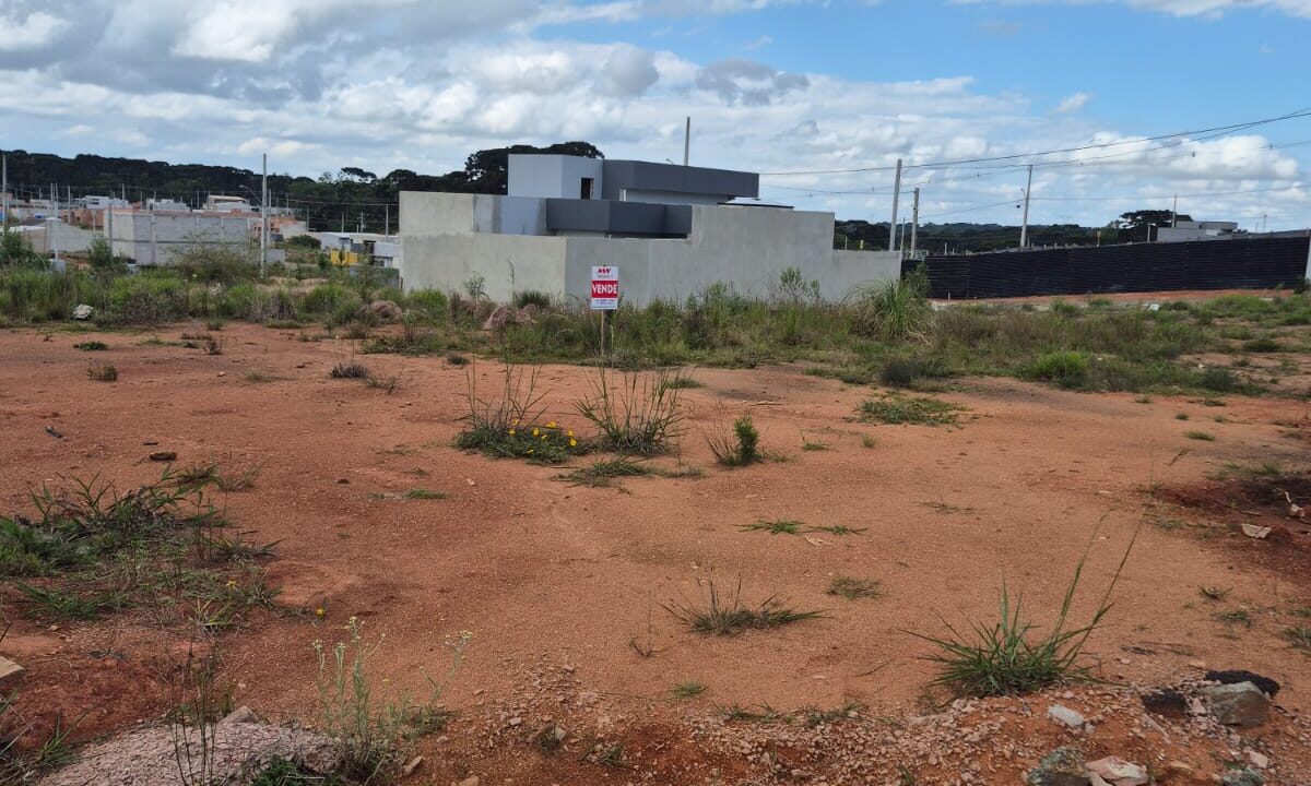 WhatsApp Image 2025-11-26 at 16.08.36