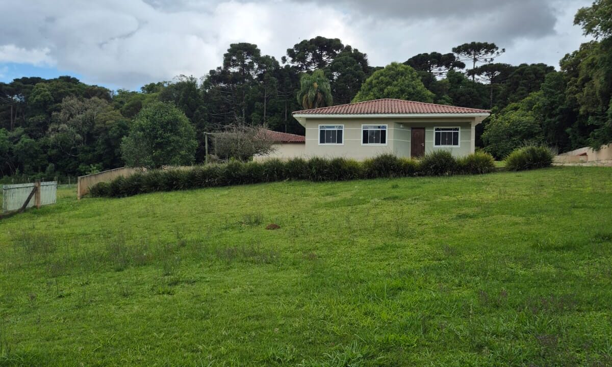 WhatsApp Image 2025-12-01 at 11.37.31