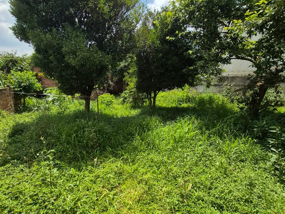 WhatsApp Image 2025-12-05 at 08.42.11