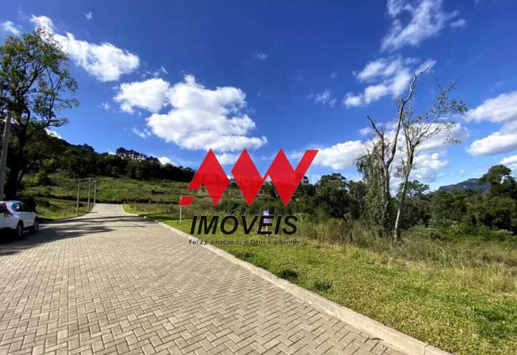 WhatsApp Image 2026-02-13 at 16.42.12