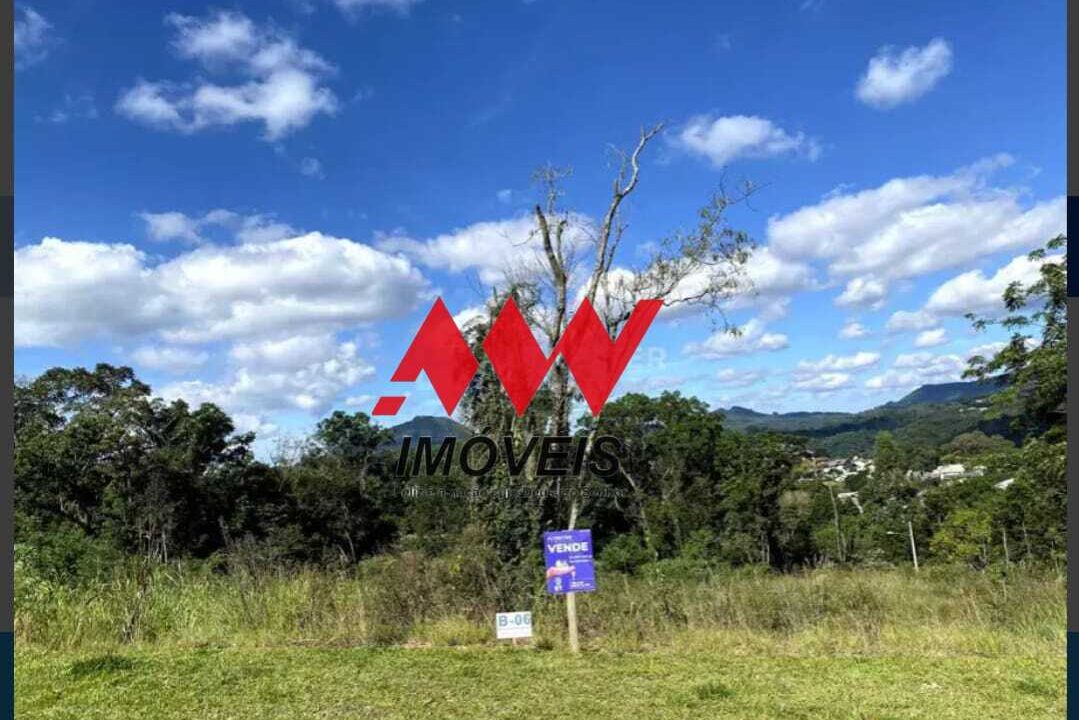 WhatsApp Image 2026-02-13 at 16.42.13