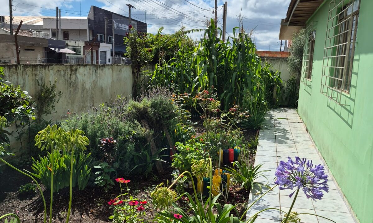 WhatsApp Image 2026-02-26 at 17.07.43 (3)