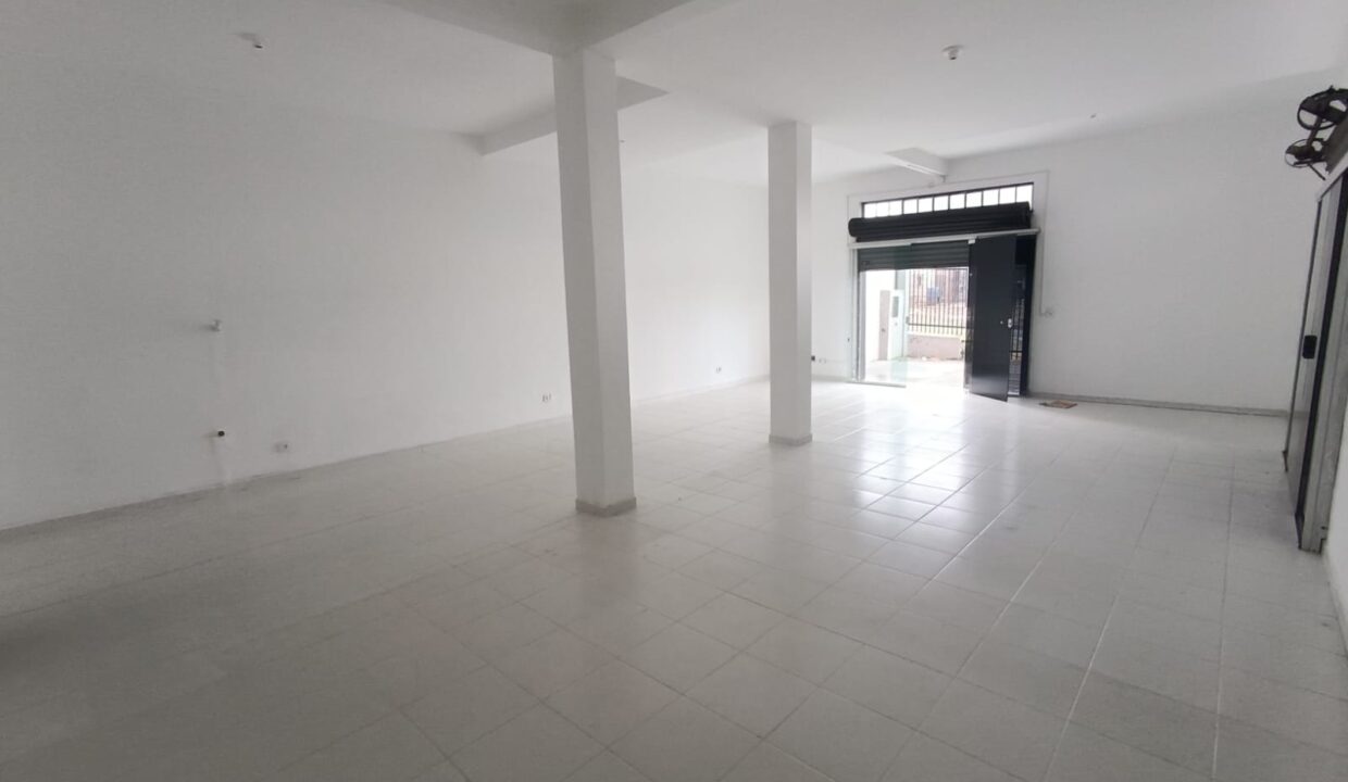 WhatsApp Image 2026-04-08 at 08.12.14